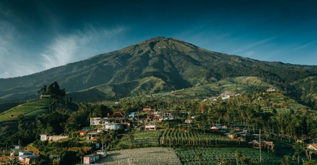Alasan Upah Pekerja di Jawa Tengah Begitu Rendah: Analisis Disparitas Upah, Relokasi Pabrik, dan Dampaknya terhadap Buruh